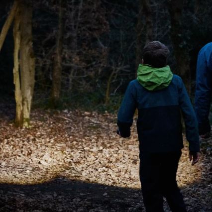 Osram - Torcia LED dimmerabile LEDINSPECT TORCH 450 ESSENTIAL LED/6W/3xAAA IP44