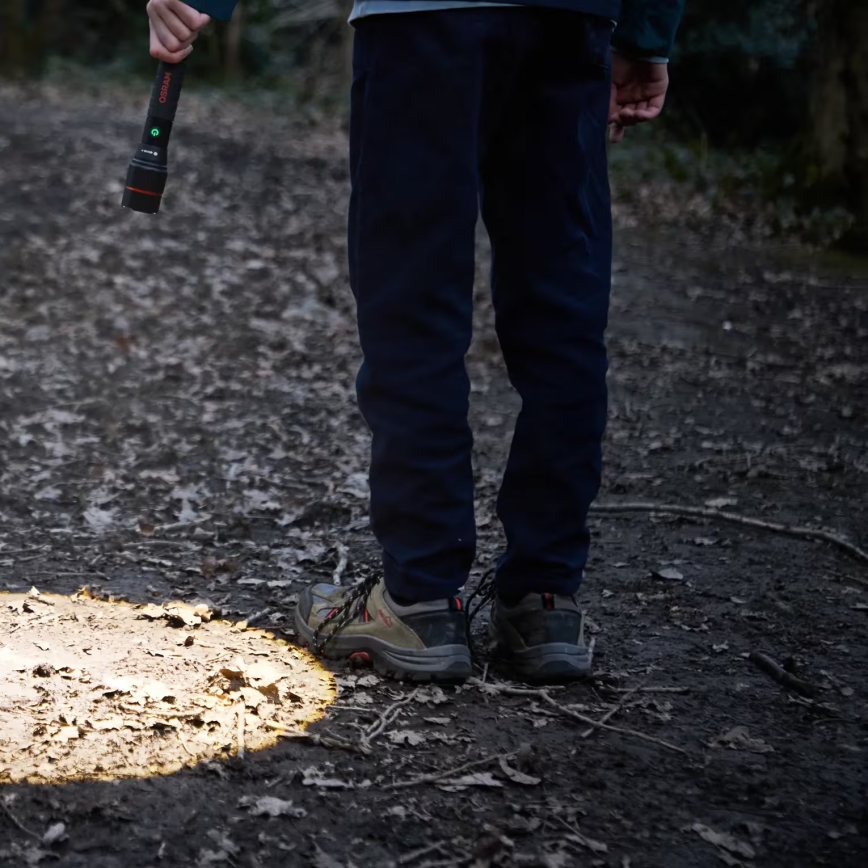 Osram - Torcia ricaricabile a LED dimmerabile LEDINSPECT PRO TORCH 1200 LED/13W/3,6V 4000 mAh IP44