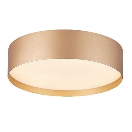 Plafoniera LED SOFIE LED/50W/230V