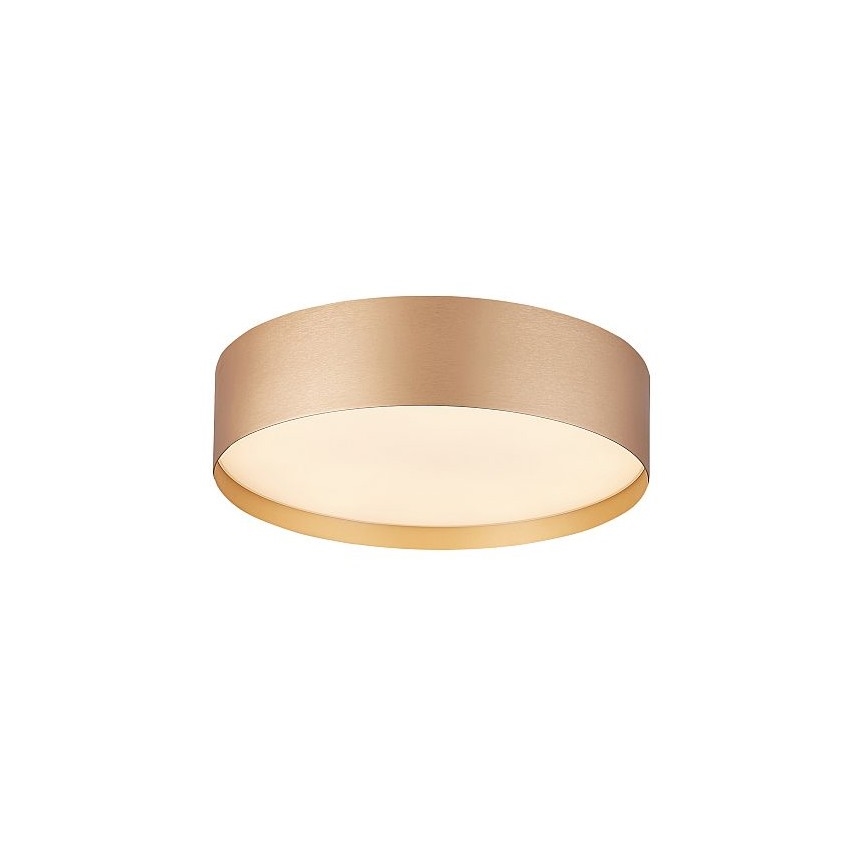 Plafoniera LED SOFIE LED/50W/230V