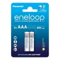 Panasonic - 2 pz Batterie ricaricabili AAA Eneloop 800 mAh