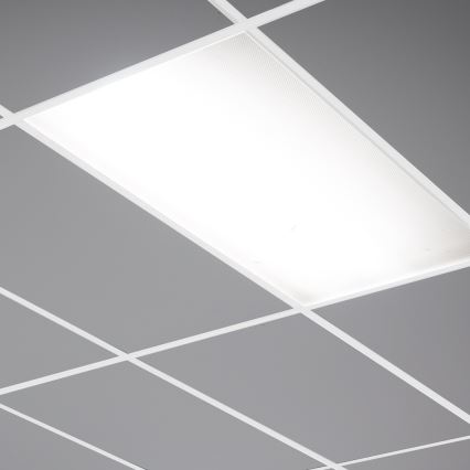 Pannello LED LED/24W/230V 4000K