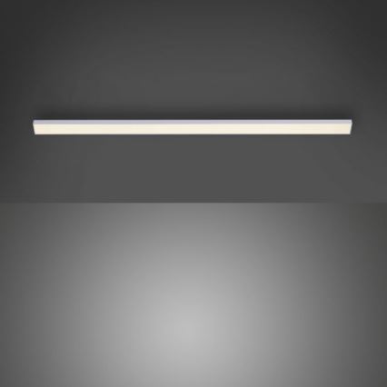 Paul Neuhaus 1125-21-A - Lampada LED aggiuntiva per sottoluce AMON LED/6W/12/230V