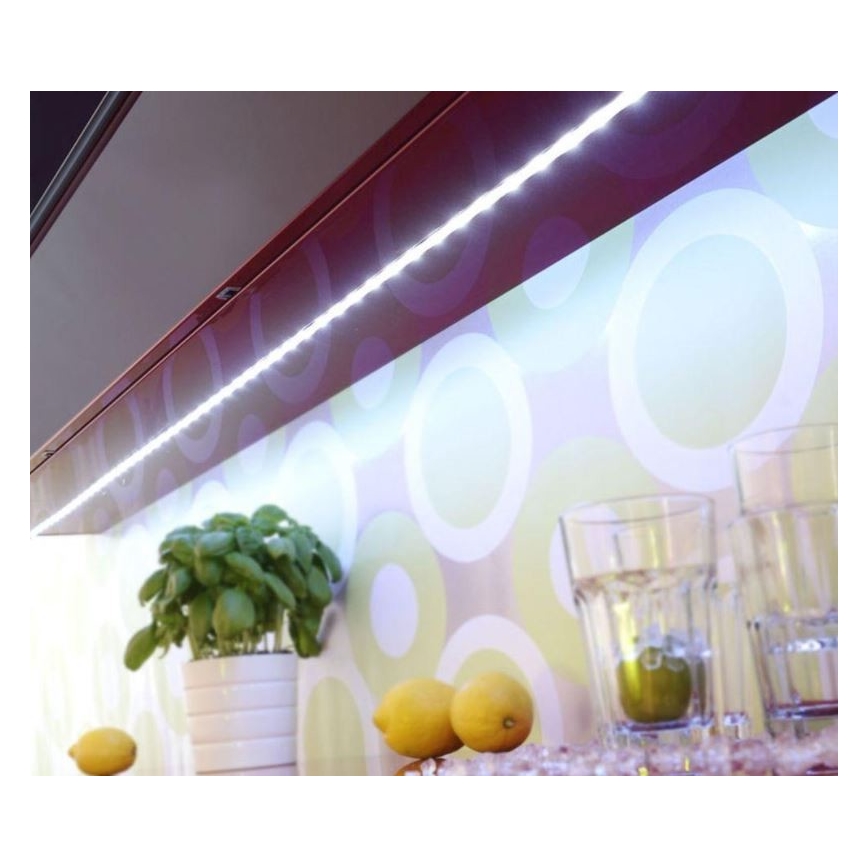 Paul Neuhaus 1205-70 - Striscia LED RGB Dimmerabile TEANIA 10m LED/30W/12/230V + telecomando