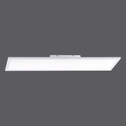 Paul Neuhaus 16533-16-O - LED Pannello da parete dimmerabile FLAT LED/24W/230V 2700-5000K bianco + telecomando