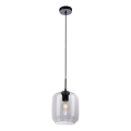 Paul Neuhaus 2002-25 - Lampadario a sospensione con filo SHITAKE 1xE27/10W/230V diametro 20 cm fumé
