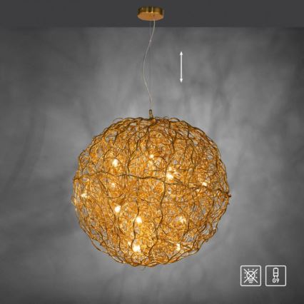Paul Neuhaus 2019-12 - Lampadario a sospensione SAREA 15xG9/40W/230V, oro