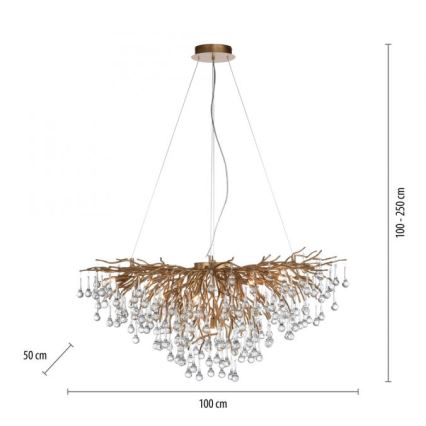 Paul Neuhaus 2192-11 - Lampadario a sospensione con filo ICICLE 10xG9/40W/230V 50x100 cm ottone