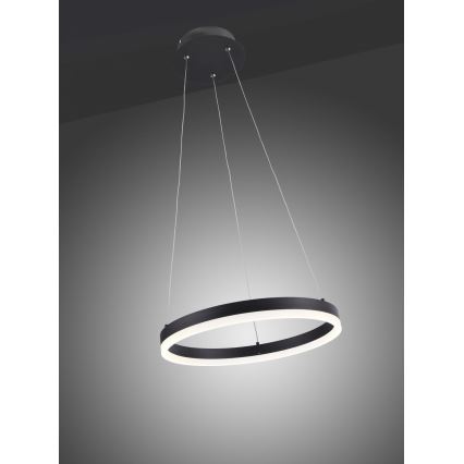 Paul Neuhaus 2381-13 - Lampadario LED dimmerabile su filo TITUS LED/28W/230V