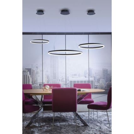 Paul Neuhaus 2382-13 - Lampadario LED dimmerabile su filo TITUS LED/38,5W/230V