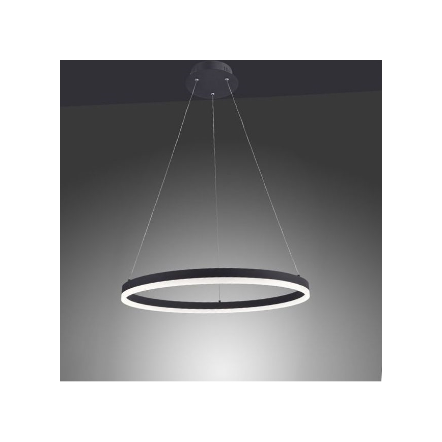 Paul Neuhaus 2382-13 - Lampadario LED dimmerabile su filo TITUS LED/38,5W/230V