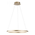Paul Neuhaus 2382-60 - Lampadario a sospensione con filo LED dimmerabile TITUS LED/38,5W/230V