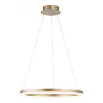 Paul Neuhaus 2382-60 - Lampadario a sospensione con filo LED dimmerabile TITUS LED/38,5W/230V