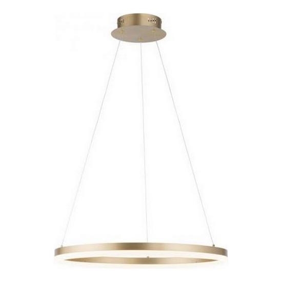 Paul Neuhaus 2382-60 - Lampadario a sospensione con filo LED dimmerabile TITUS LED/38,5W/230V