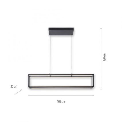 Paul Neuhaus 2441-18 - Lampadario LED Dimmerabile su corda CONTURA 4xLED/8W/230V