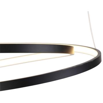 Paul Neuhaus 2472-18 - Lampadario LED dimmerabile su filo ROMAN LED/30W/230V nero