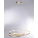 Paul Neuhaus 2474-12 - Lampadario LED dimmerabile su filo ROMAN LED/40W/230V dorato