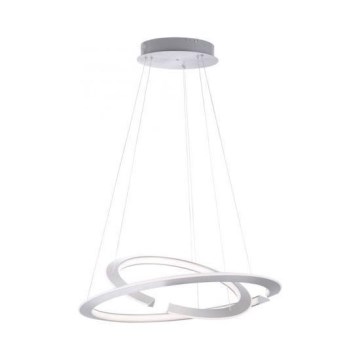 Paul Neuhaus 2491-55 - Lampadario LED dimmerabile su cavo ALESSA 2xLED/26W/230V con telecomando