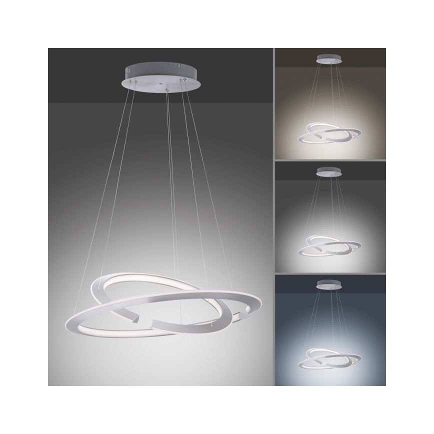Paul Neuhaus 2491-55 - Lampadario LED dimmerabile su filo ALESSA 2xLED/26W/230V + TC