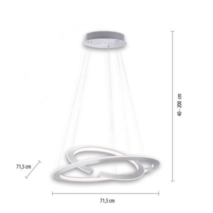 Paul Neuhaus 2491-55 - Lampadario LED dimmerabile su filo ALESSA 2xLED/26W/230V + TC