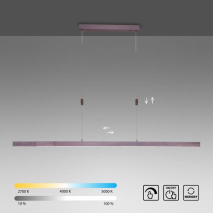 Paul Neuhaus 2568-24 - Lampadario a sospensione con filo LED dimmerabile ADRIANA LED/14W/230V 2700-5000K