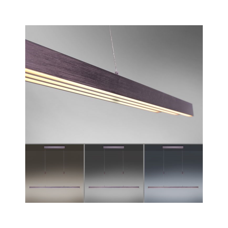 Paul Neuhaus 2568-24 - Lampadario a sospensione con filo LED dimmerabile ADRIANA LED/14W/230V 2700-5000K