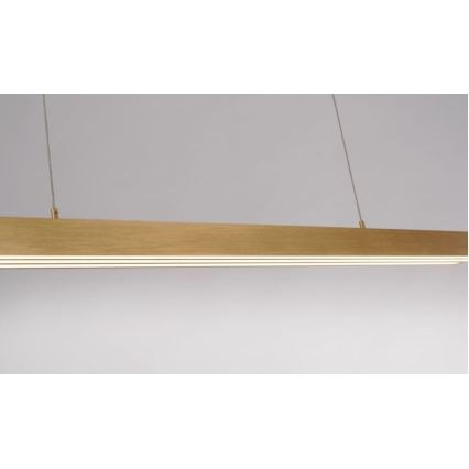 Paul Neuhaus 2568-60 - Lampadario a sospensione con filo LED dimmerabile ADRIANA LED/14W/230V  2700-5000K ottone