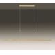 Paul Neuhaus 2568-60 - Lampadario a sospensione con filo LED dimmerabile ADRIANA LED/14W/230V  2700-5000K ottone