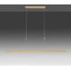 Paul Neuhaus 2568-60 - Lampadario a sospensione con filo LED dimmerabile ADRIANA LED/14W/230V  2700-5000K ottone