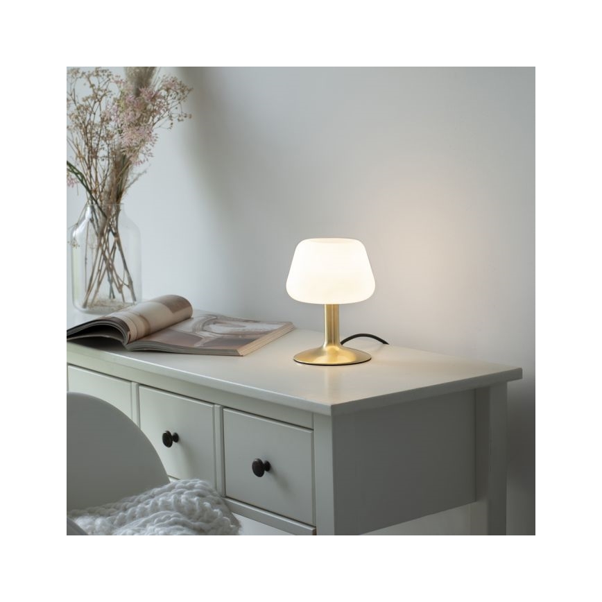 Paul Neuhaus 4078-60 - Lampada da tavolo LED dimmerabile con funzione Touch TILL 1xG9/3W/230V ottone