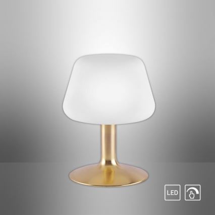 Paul Neuhaus 4078-60 - Lampada da tavolo LED dimmerabile con funzione Touch TILL 1xG9/3W/230V ottone