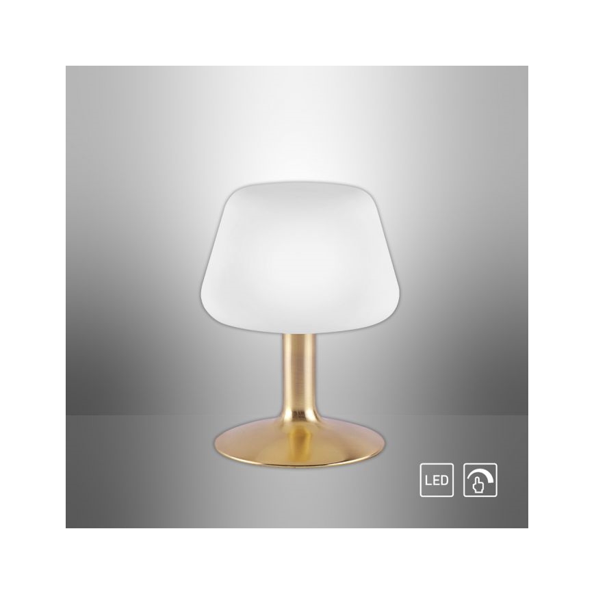 Paul Neuhaus 4078-60 - Lampada da tavolo LED dimmerabile con funzione Touch TILL 1xG9/3W/230V ottone