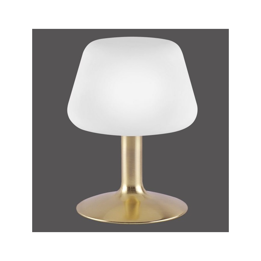 Paul Neuhaus 4078-60 - Lampada da tavolo LED dimmerabile con funzione Touch TILL 1xG9/3W/230V ottone