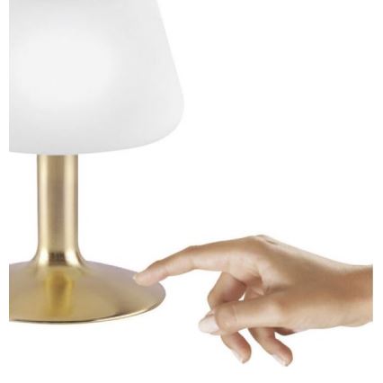 Paul Neuhaus 4078-60 - Lampada da tavolo LED dimmerabile con funzione Touch TILL 1xG9/3W/230V ottone