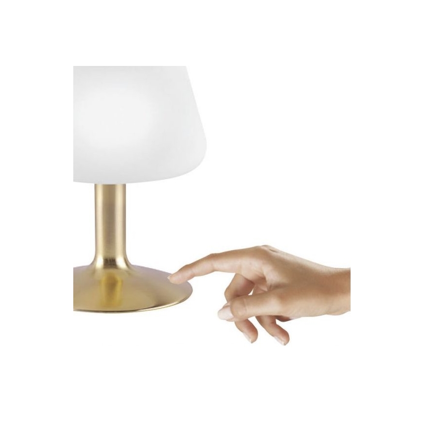 Paul Neuhaus 4078-60 - Lampada da tavolo LED dimmerabile con funzione Touch TILL 1xG9/3W/230V ottone