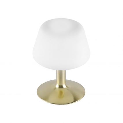 Paul Neuhaus 4078-60 - Lampada da tavolo LED dimmerabile con funzione Touch TILL 1xG9/3W/230V ottone