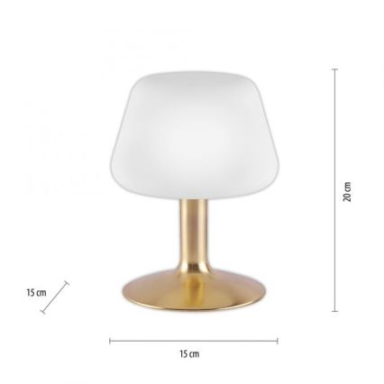 Paul Neuhaus 4078-60 - Lampada da tavolo LED dimmerabile con funzione Touch TILL 1xG9/3W/230V ottone