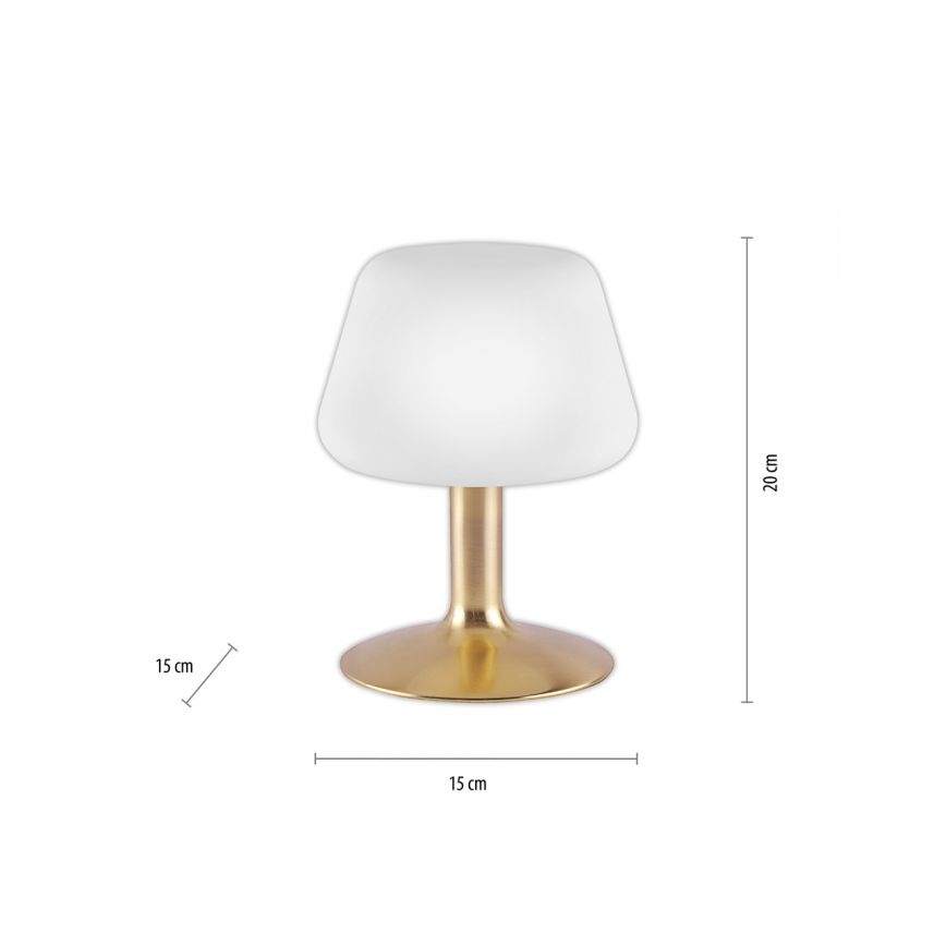 Paul Neuhaus 4078-60 - Lampada da tavolo LED dimmerabile con funzione Touch TILL 1xG9/3W/230V ottone