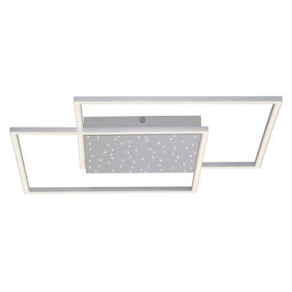 Paul Neuhaus 6024-55 - Lampadario LED dimmerabile da superficie YUKI LED/49W/230V + telecomando