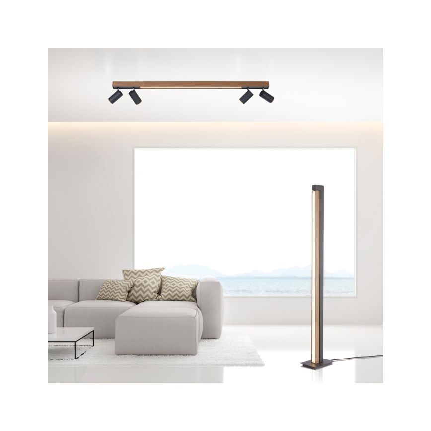 Paul Neuhaus 6121-79 - Faretto LED dimmerabile PURE 4xLED/4W/230V + LED/9W 2700-5000K + telecomando