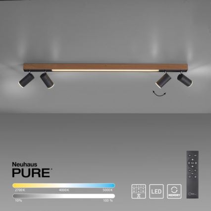 Paul Neuhaus 6121-79 - Faretto LED dimmerabile PURE 4xLED/4W/230V + LED/9W 2700-5000K + telecomando