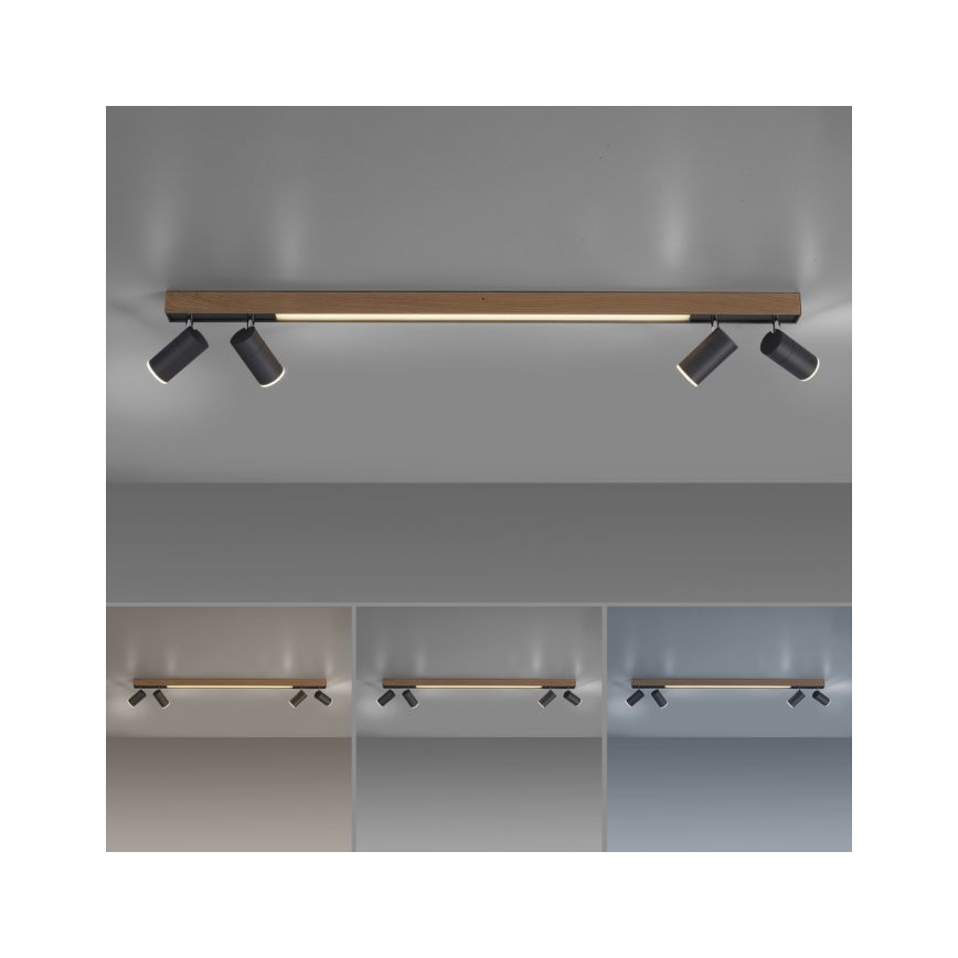 Paul Neuhaus 6121-79 - Faretto LED dimmerabile PURE 4xLED/4W/230V + LED/9W 2700-5000K + telecomando