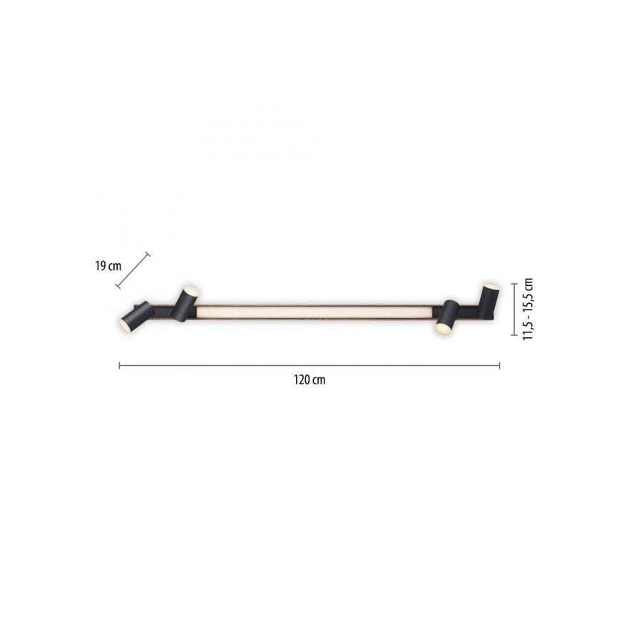 Paul Neuhaus 6121-79 - Faretto LED dimmerabile PURE 4xLED/4W/230V + LED/9W 2700-5000K + telecomando