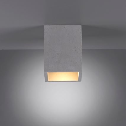 Paul Neuhaus 6161-22 - Faretto ETON 1xGU10/10W/230V calcestruzzo