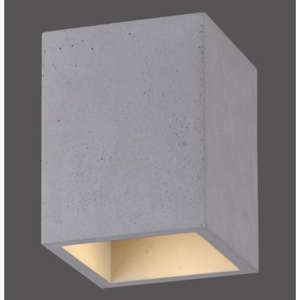 Paul Neuhaus 6161-22 - Faretto ETON 1xGU10/10W/230V calcestruzzo