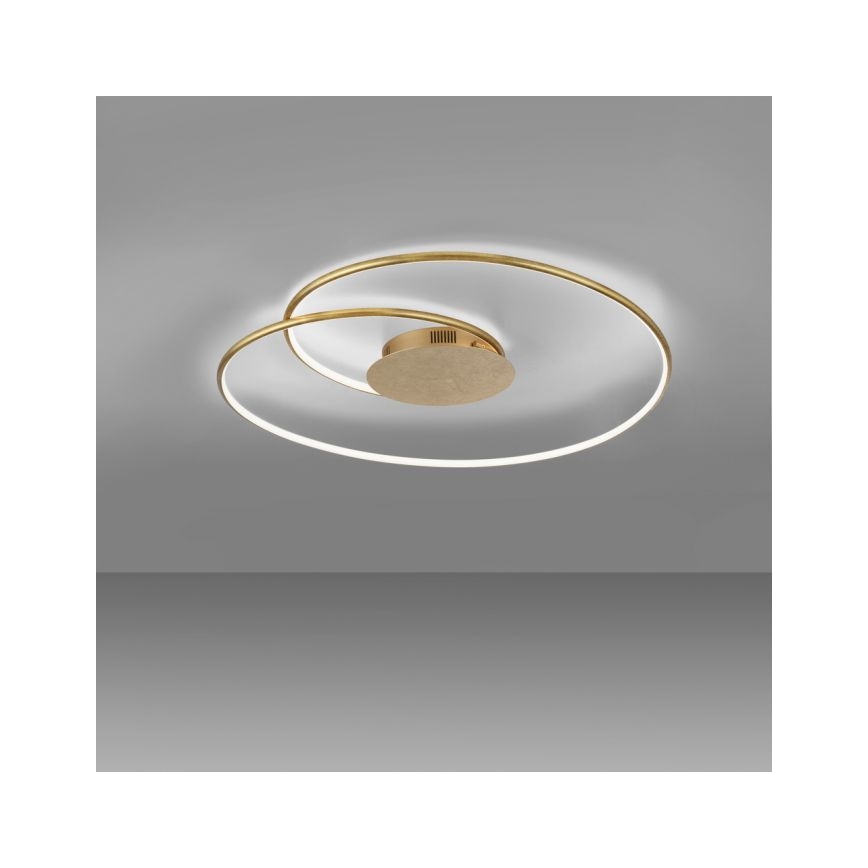 Paul Neuhaus 6189-12 - Plafoniera LED dimmerabile NASTRO LED/26W/230V