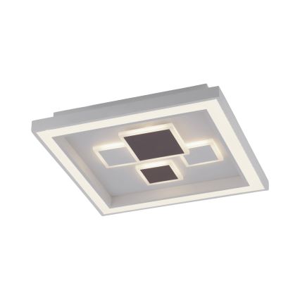 Paul Neuhaus 6283-16 - Plafoniera LED dimmerabile ELIZA LED/30W/230V + LED/18,5W