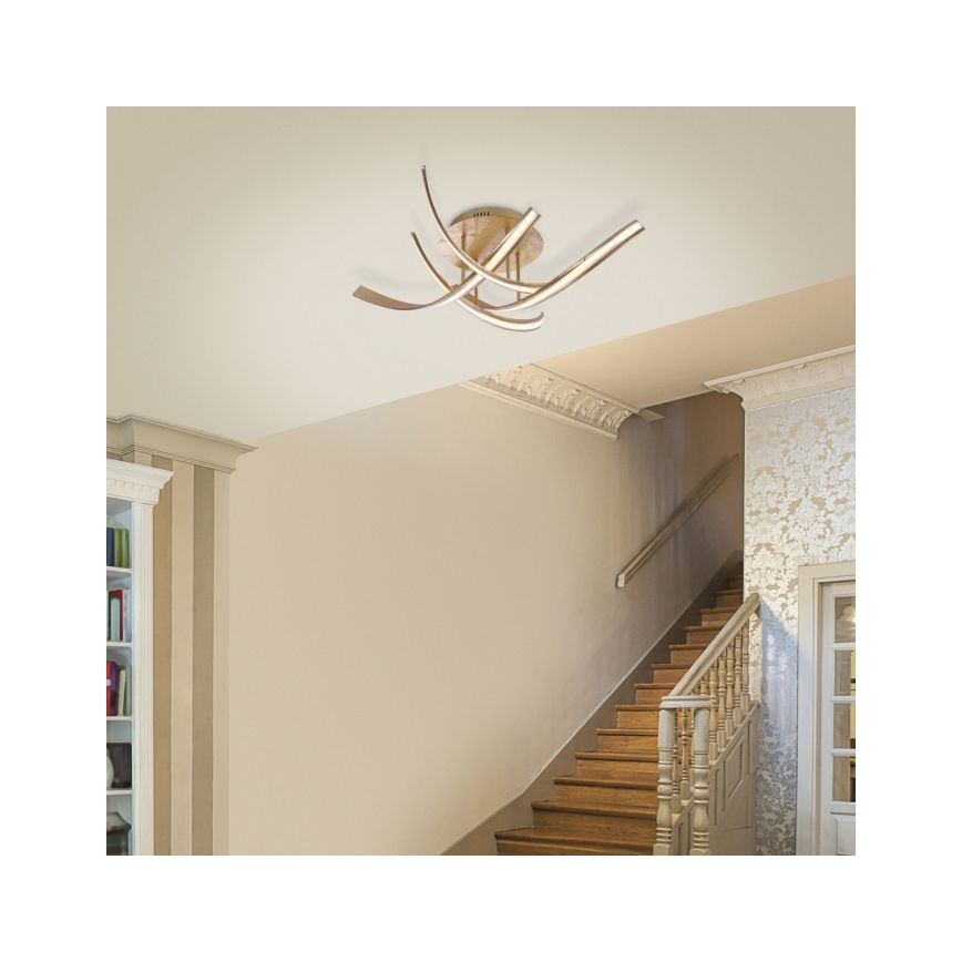 Paul Neuhaus 6474-12 - Lampadario a plafone LED dimmerabile LINDA 4xLED/7W/230V