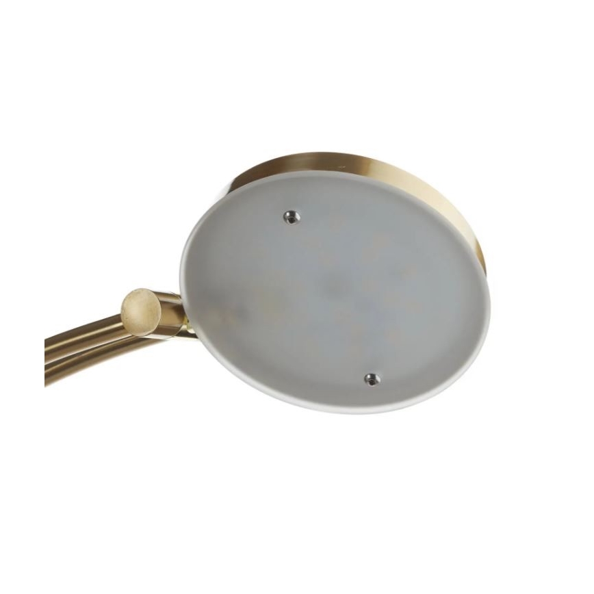 Paul Neuhaus 655-60 - Piantana LED dimmerabile ALFRED LED/28W/230V+LED/4W/230V ottone