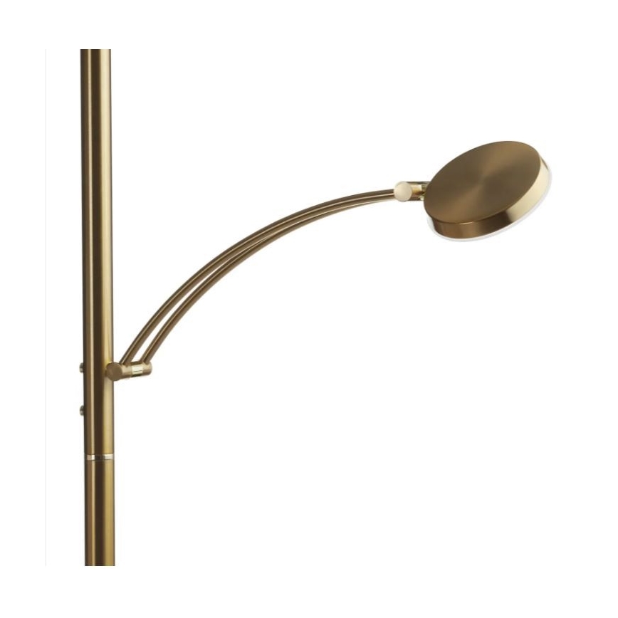 Paul Neuhaus 655-60 - Piantana LED dimmerabile ALFRED LED/28W/230V+LED/4W/230V ottone